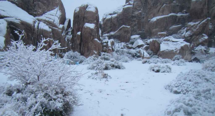 Snow covers a rocky landscape in joshua tree national park.